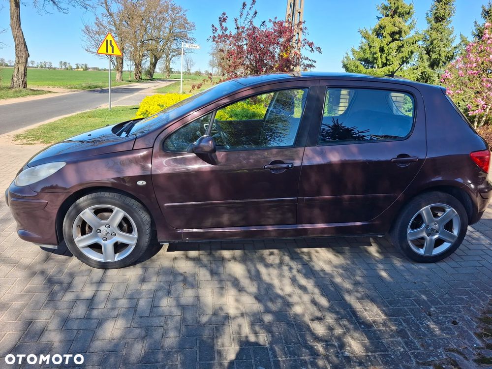 Peugeot 307 Break 140 Premium - 3