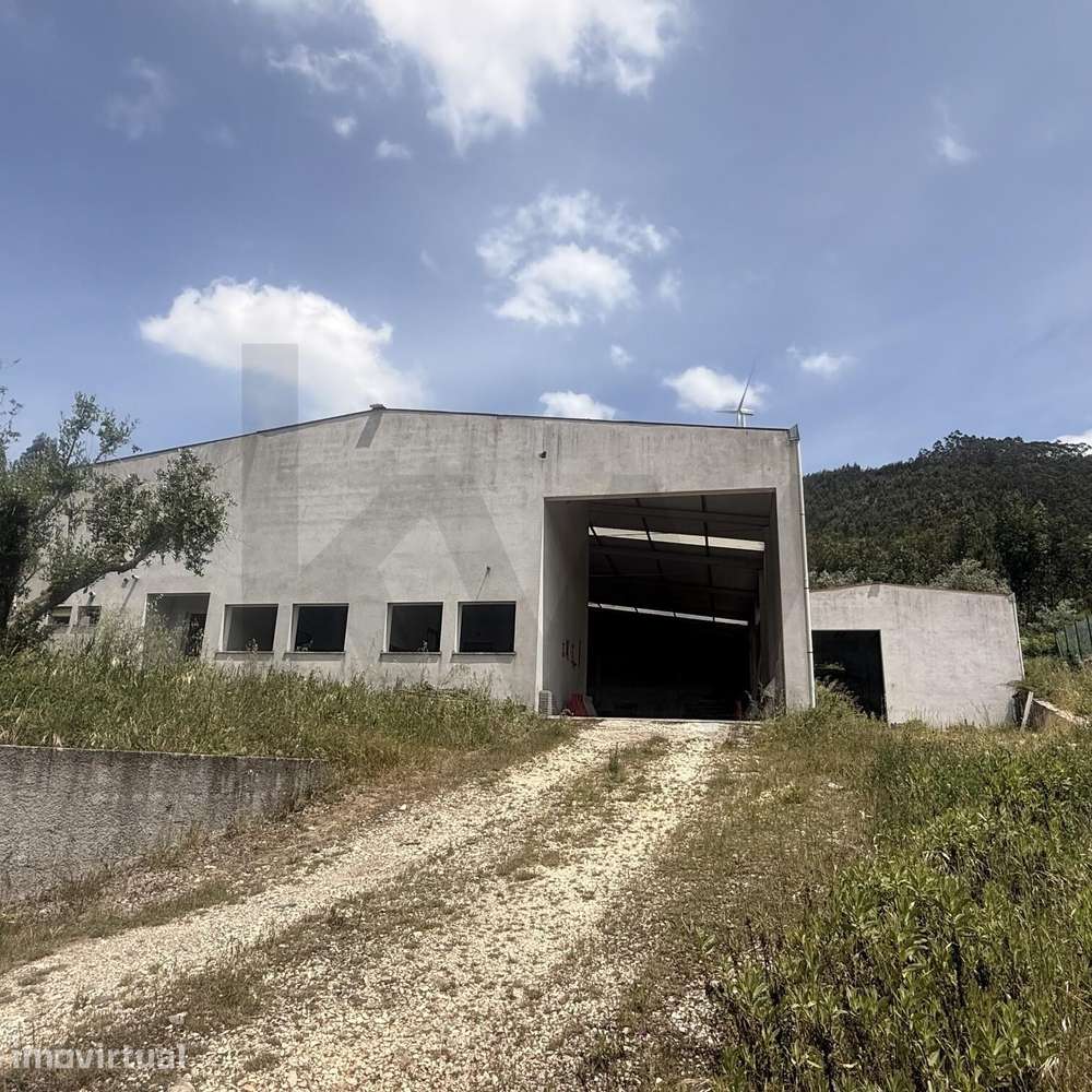Oportunidade em Penacova: Pavilhão Industrial e Administrativo com Ter - Grande imagem: 2/37