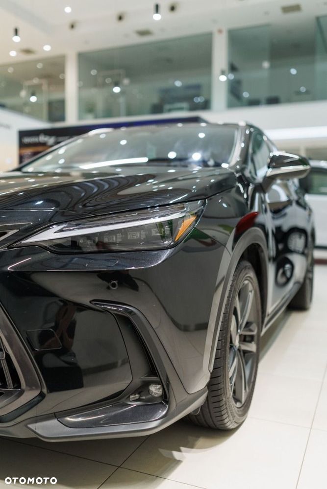 Lexus NX - 13