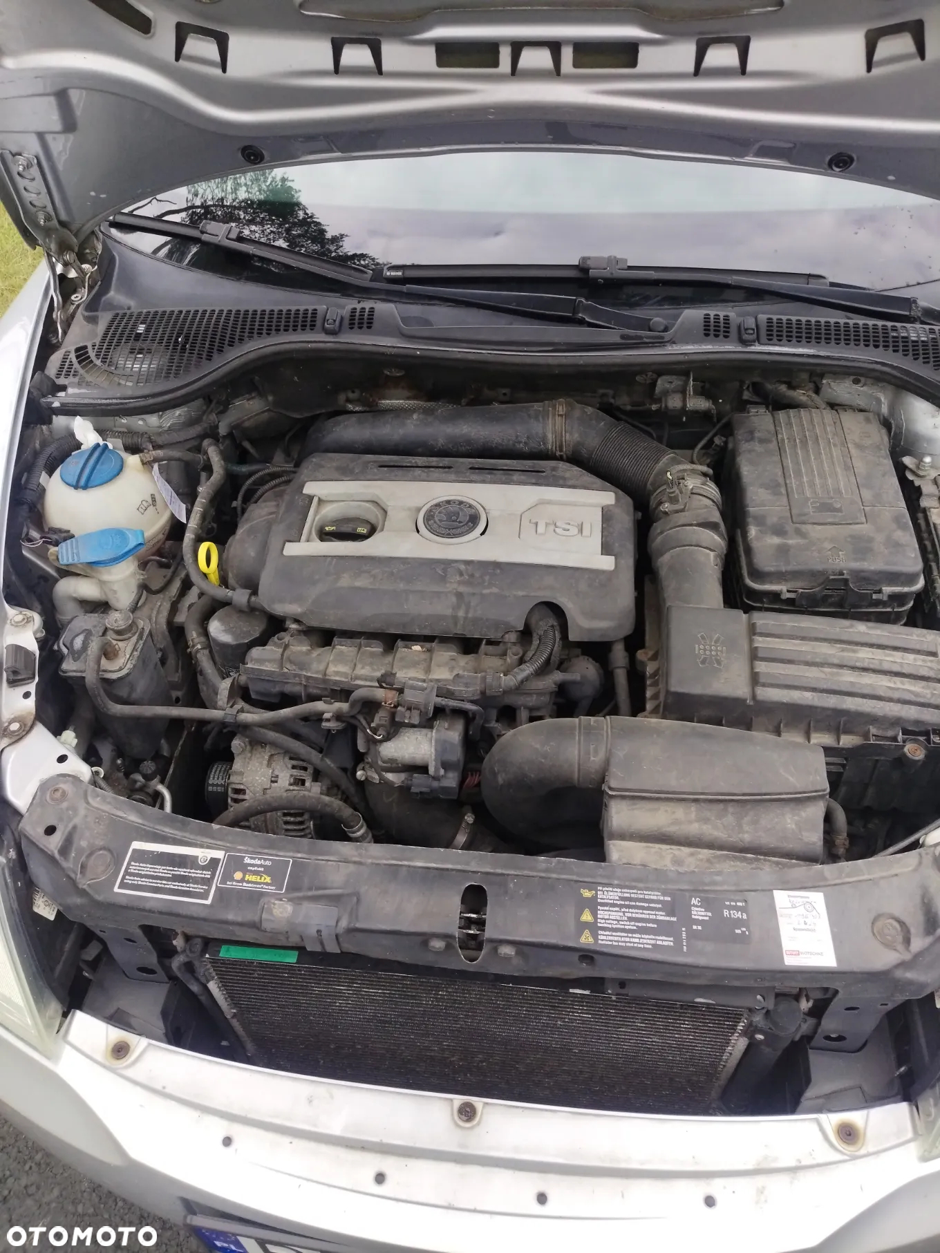 Skoda Octavia 1.8 TSI 4x4 Ambiente - 15