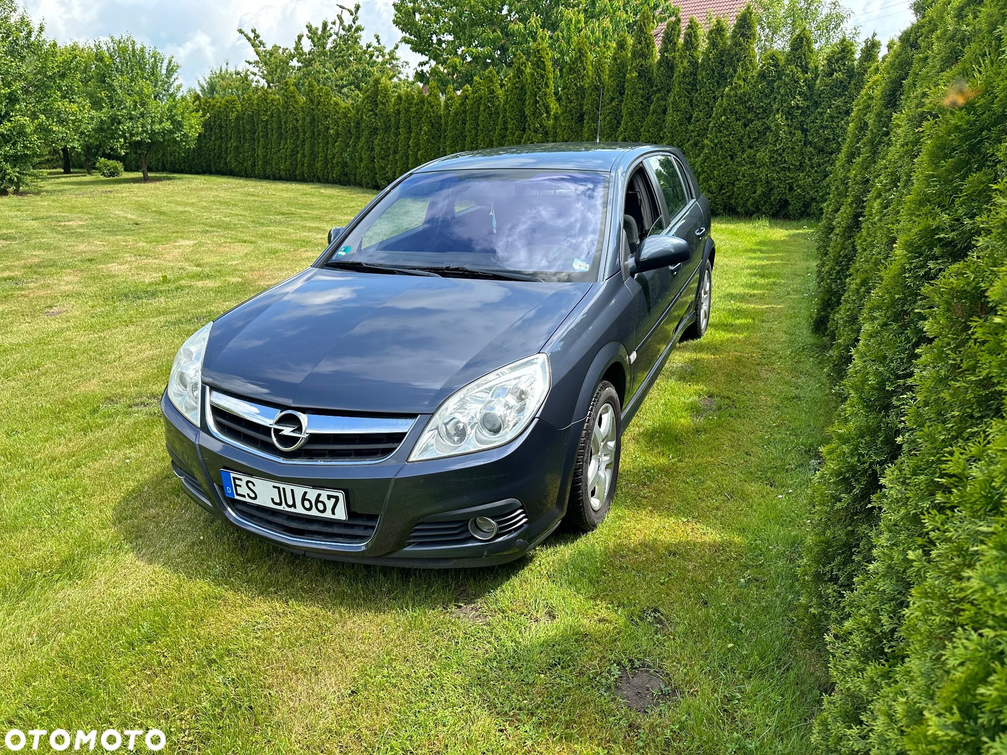 Opel Signum 1.8 Business - 1