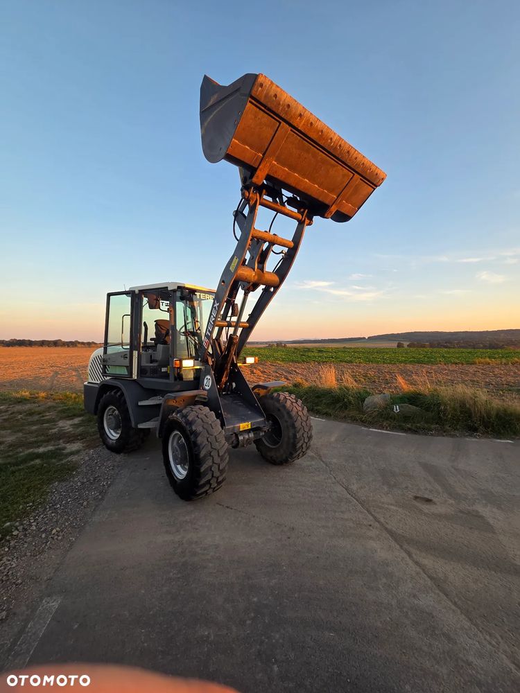 Terex TL80 TL65 TL100 - 7