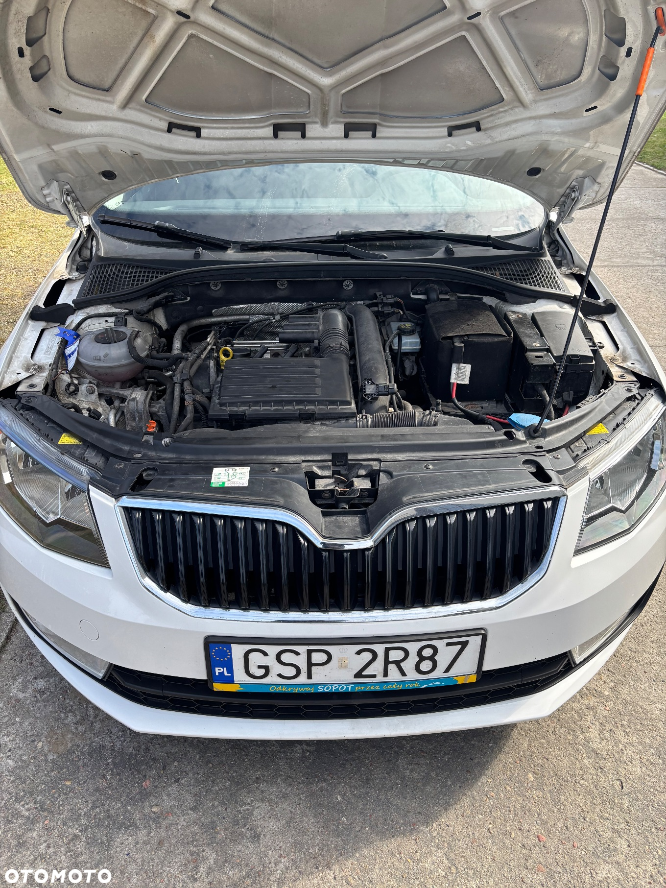 Skoda Octavia 1.4 TSI Ambition - 7