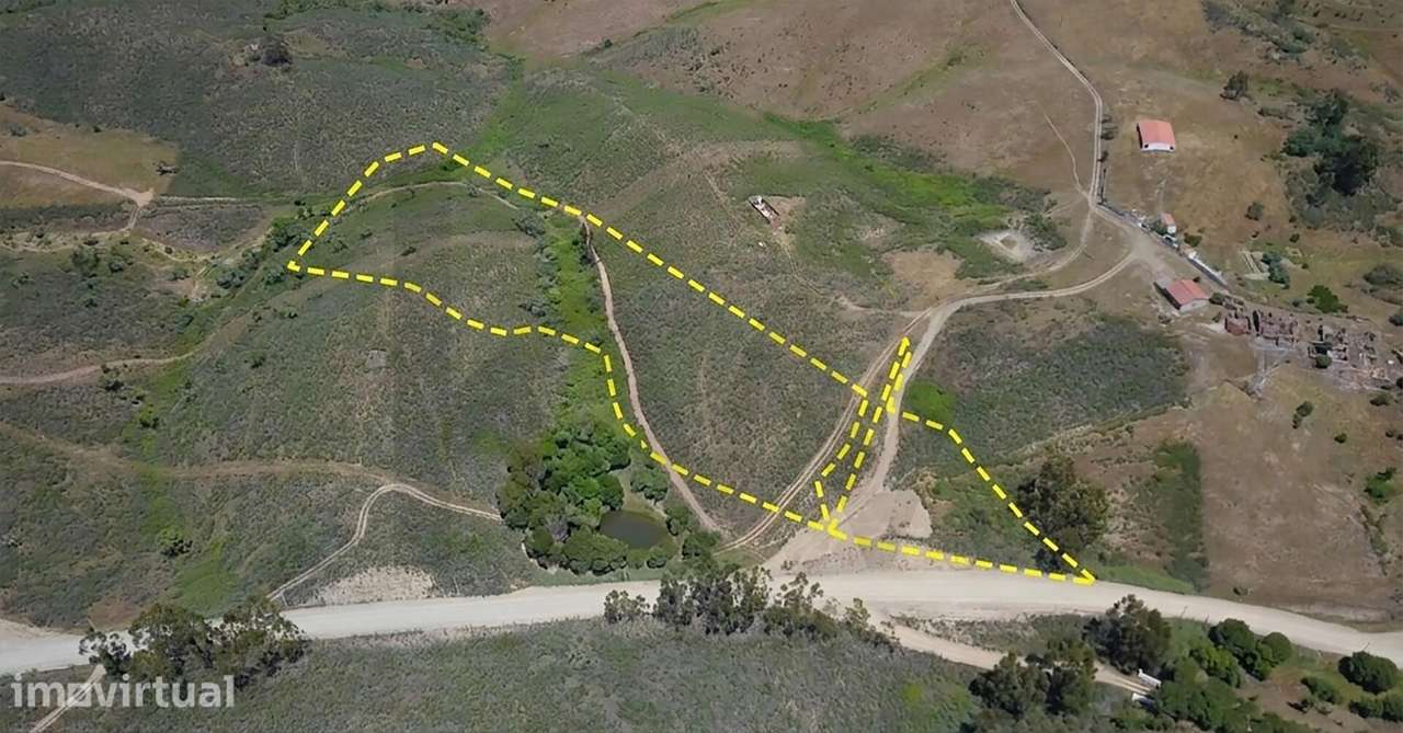 Terreno Rústico com 9,1 Hectares em Santana da Serra - Óptimo para pro - Grande imagem: 2/6