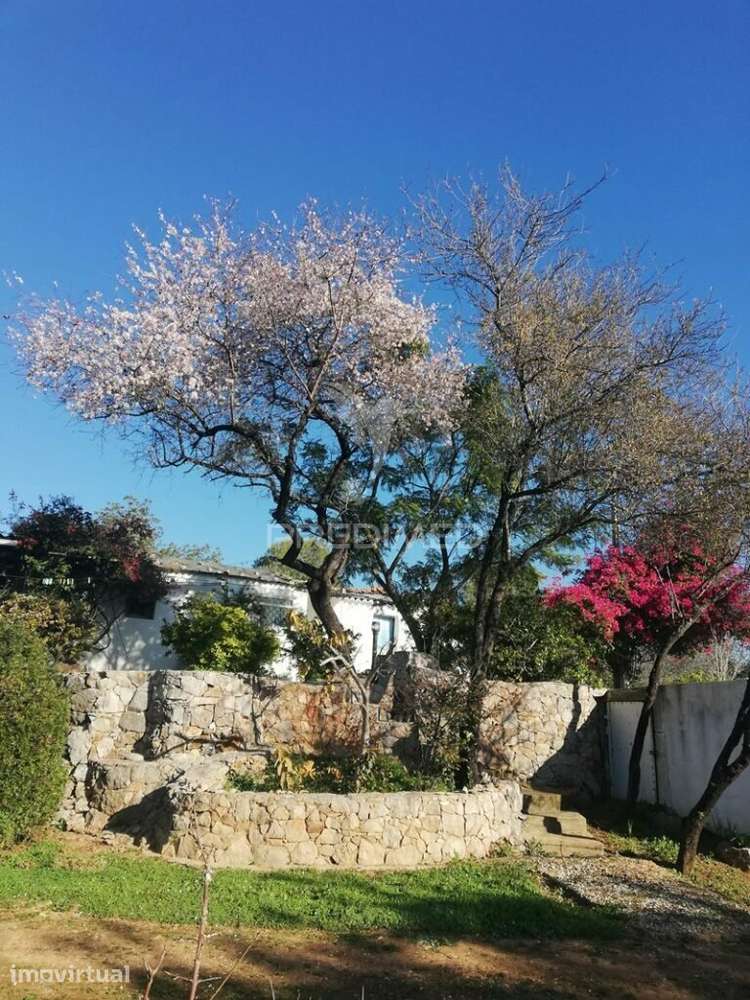 Tavira - terreno com moradia / land with house - Grande imagem: 5/13