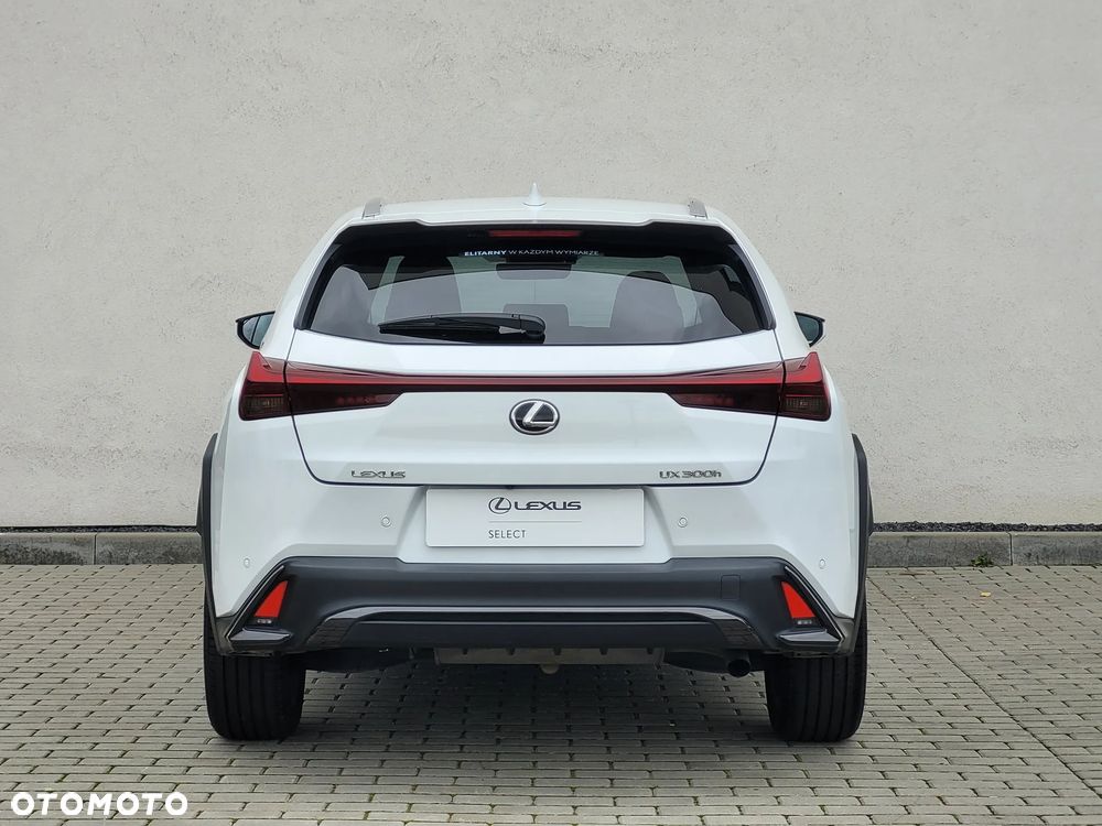 Lexus UX 300h F Sport Design - 9