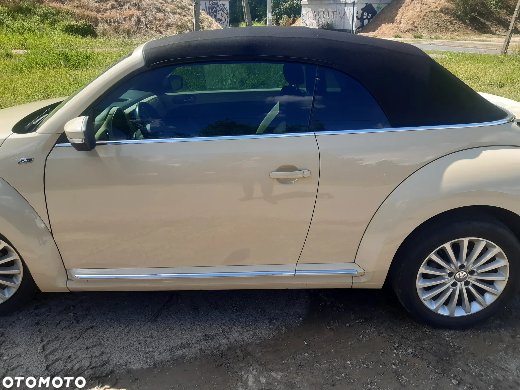 Volkswagen Beetle - 19