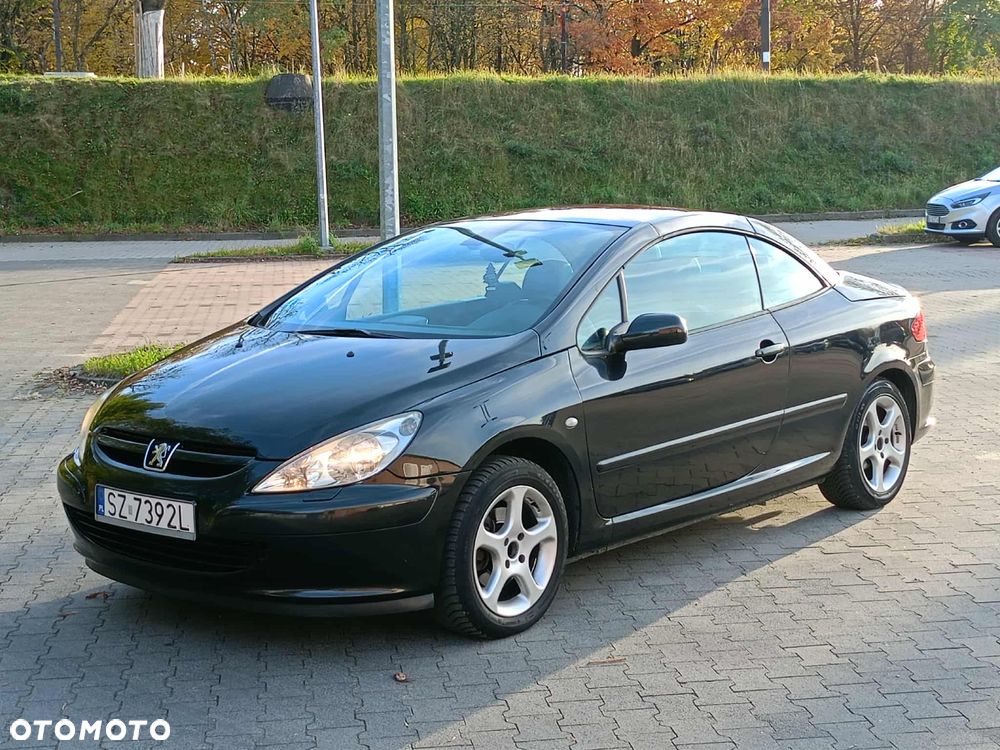 Peugeot 307 CC 140 Sport - 24