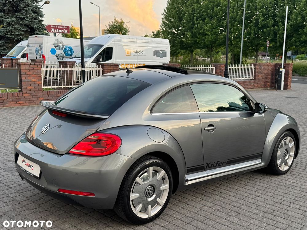 Volkswagen Beetle - 25