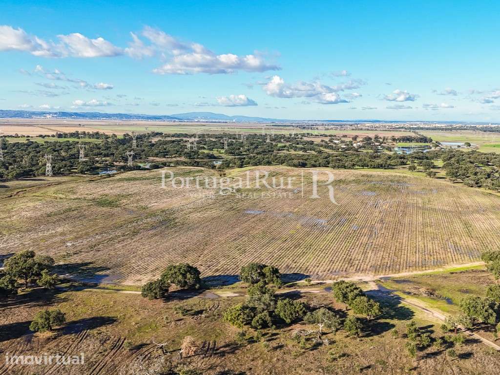 Herdade de 60 ha com regadio, ideal para gado, perto de Lisboa - Grande imagem: 5/59