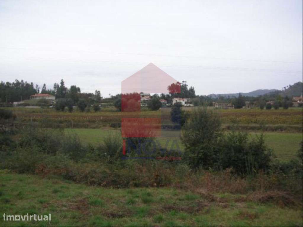 Terreno, Coucieiro - Grande imagem: 4/4