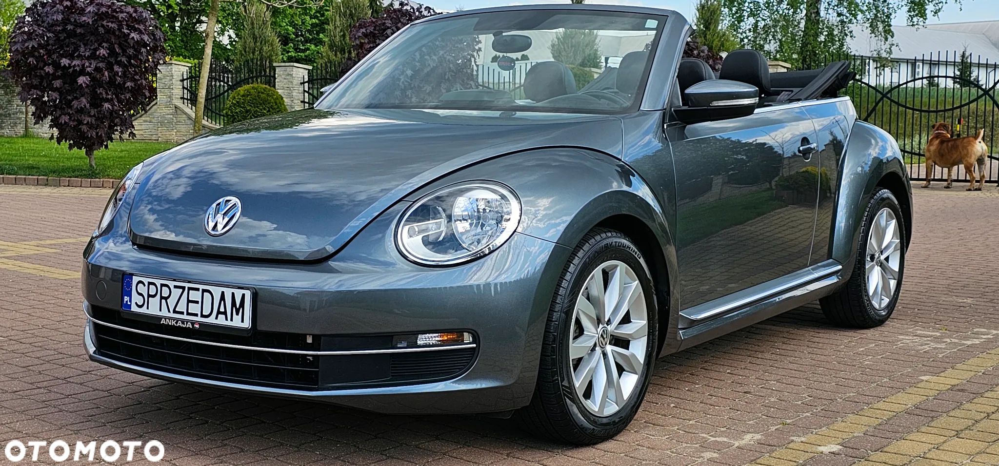 Volkswagen Beetle The Cabriolet 2.0 TDI DSG (BlueMotion Tech) Denim - 1
