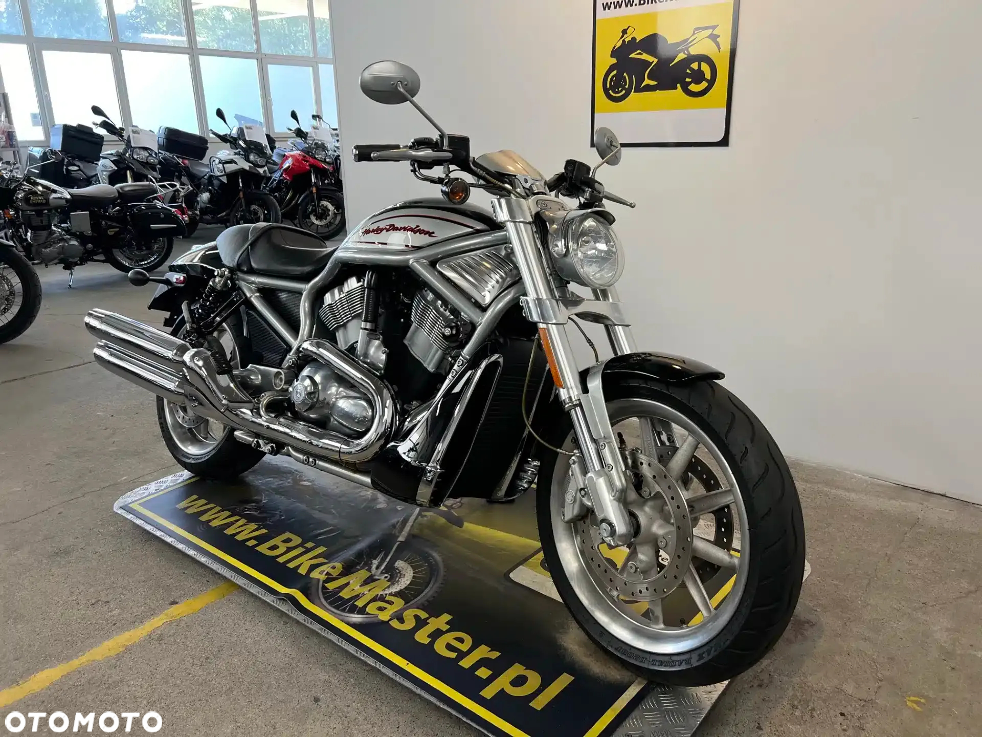 Harley-Davidson V-Rod Street Rod - 3