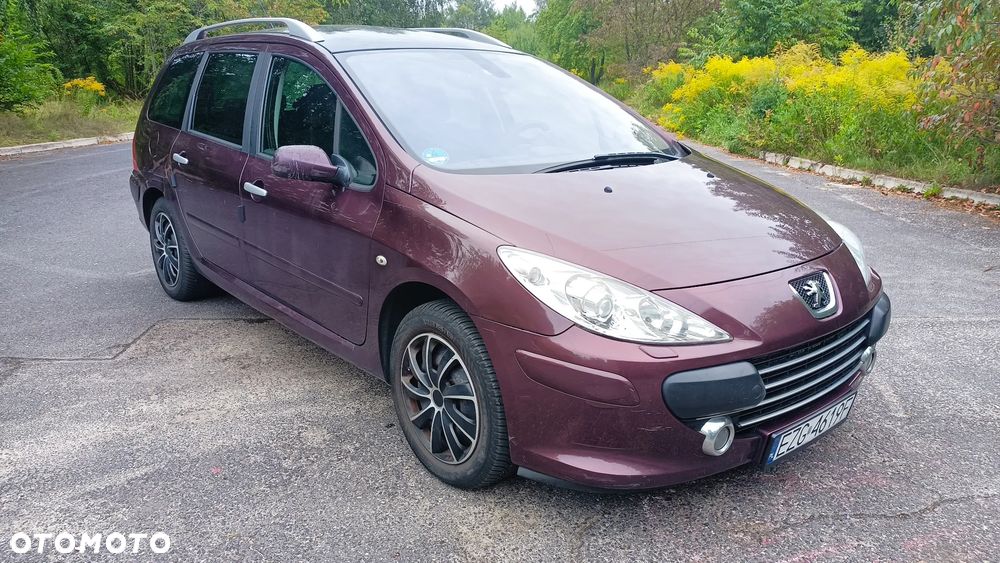 Peugeot 307 2.0 - 2