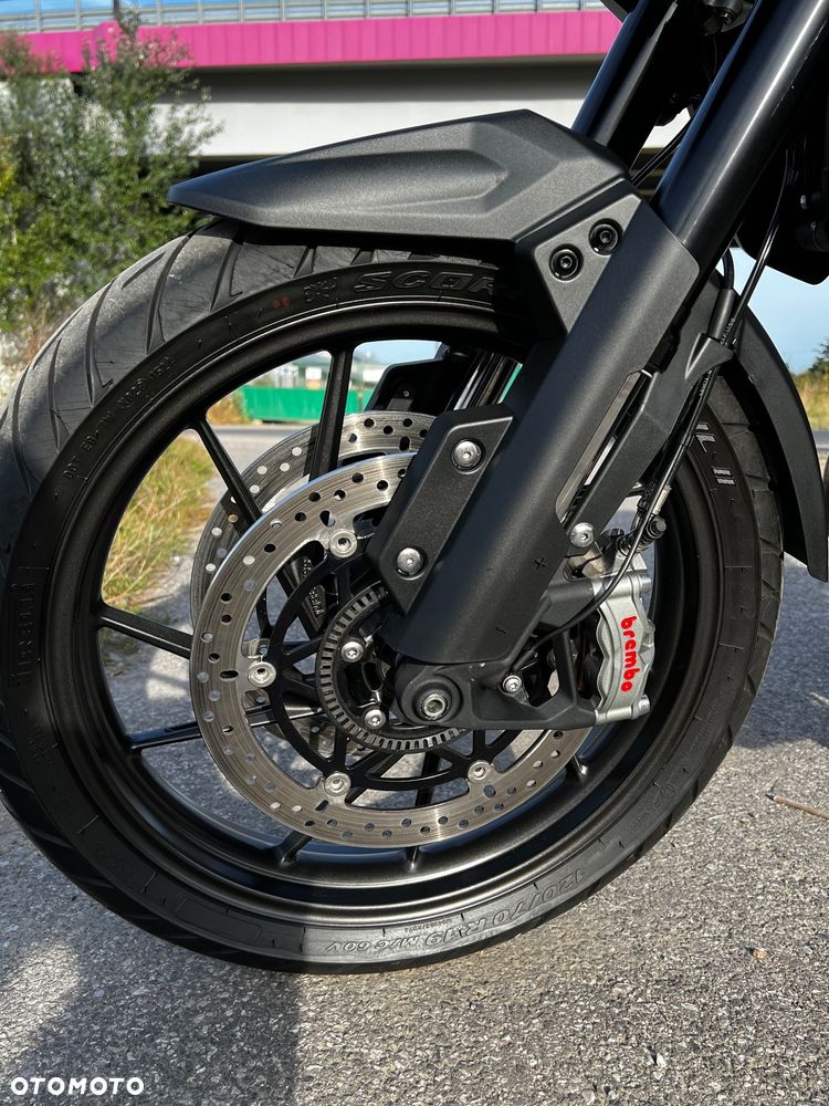 Triumph Tiger - 33