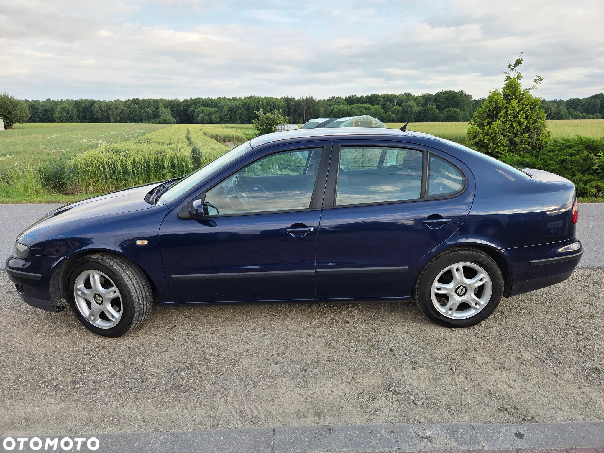 Seat Toledo - 2