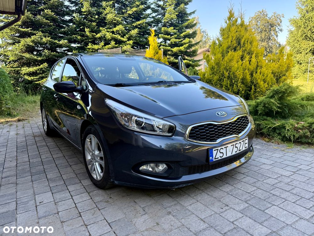 Kia Ceed - 1