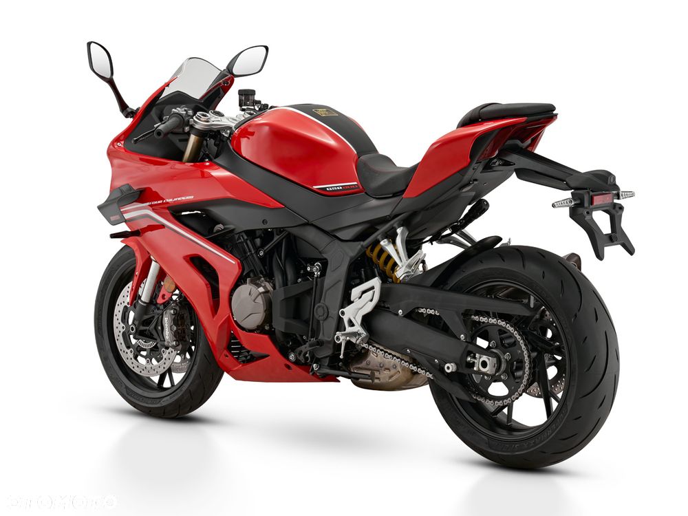 QJMOTOR SRK 800RR - 5