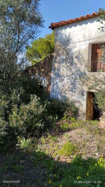 Terreno com casa para recuperar a poucos minutos da cidade de Silves - Grande imagem: 2/5