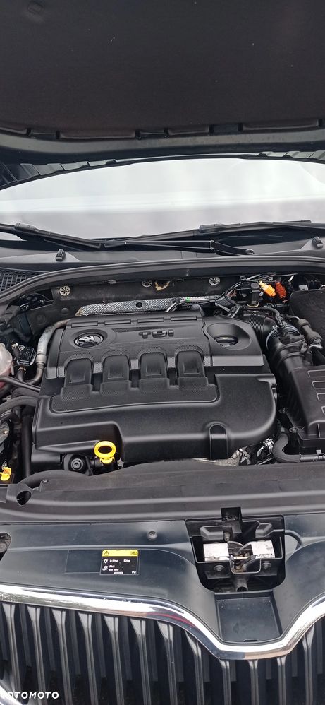 Skoda Octavia Scout 2.0 TDI 4x4 DSG - 10