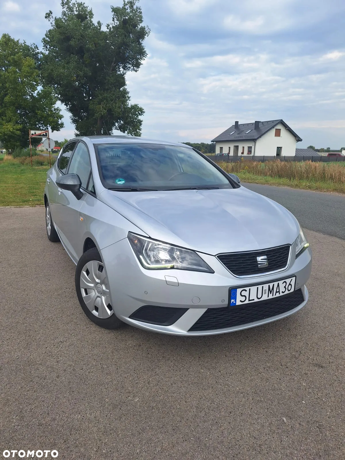 Seat Ibiza - 5