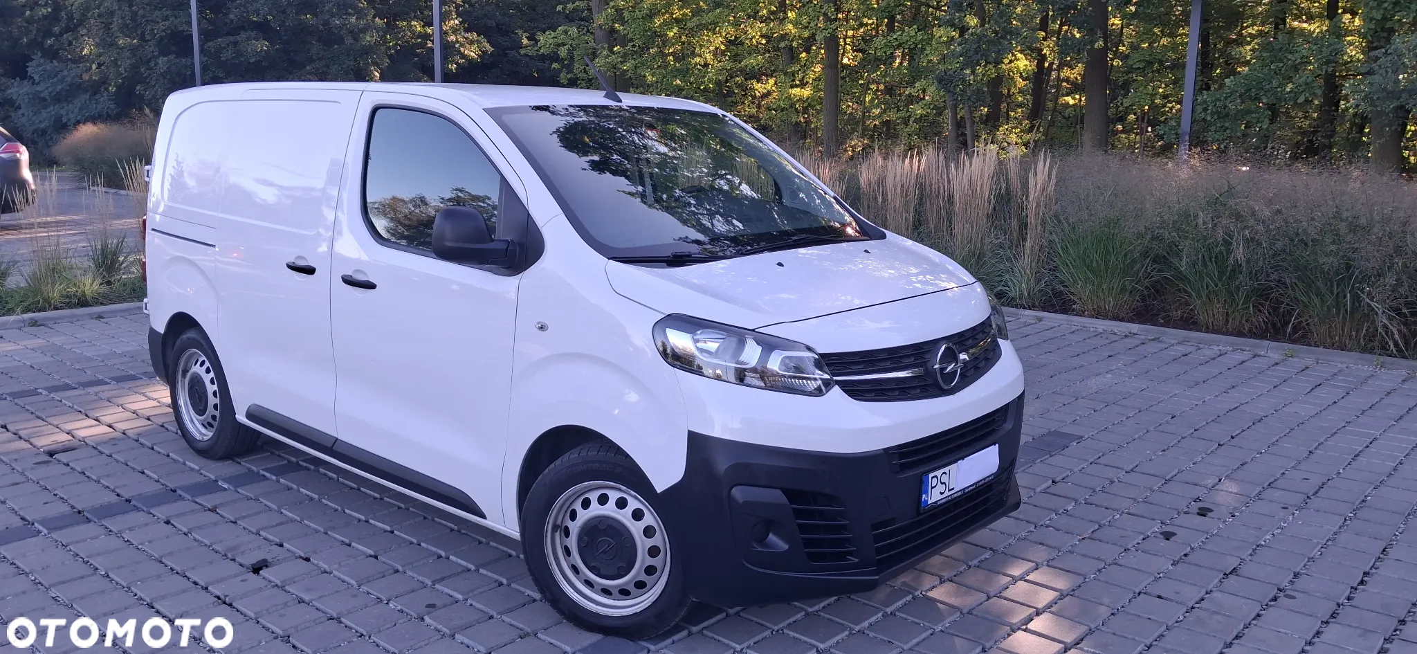 Opel Vivaro - 2