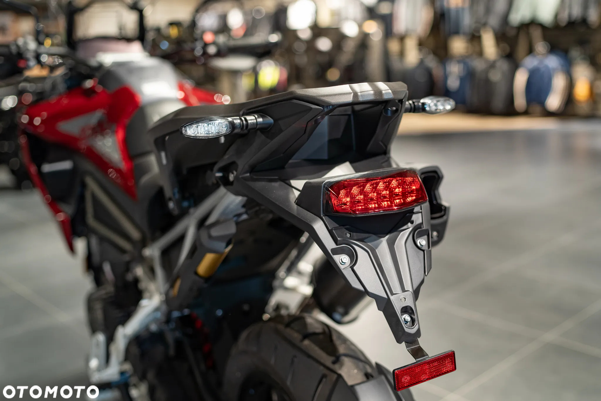 Triumph Tiger - 22