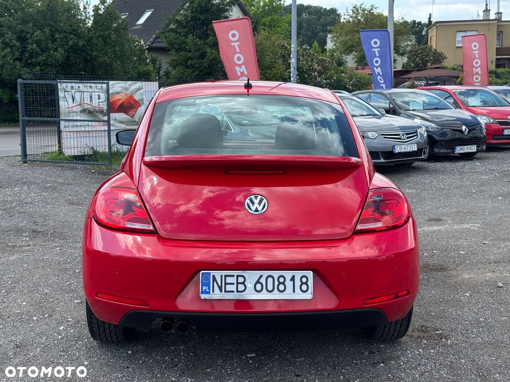 Volkswagen Beetle - 15