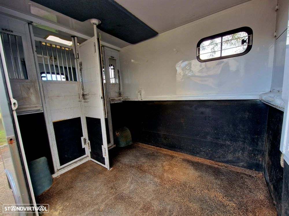 Renault MASTER - TRANSPORTE CAVALOS - 17