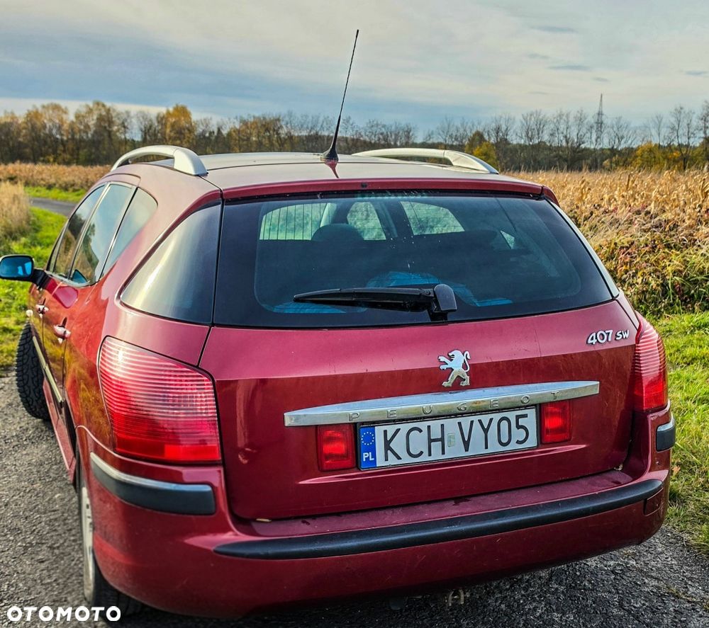 Peugeot 407 - 5