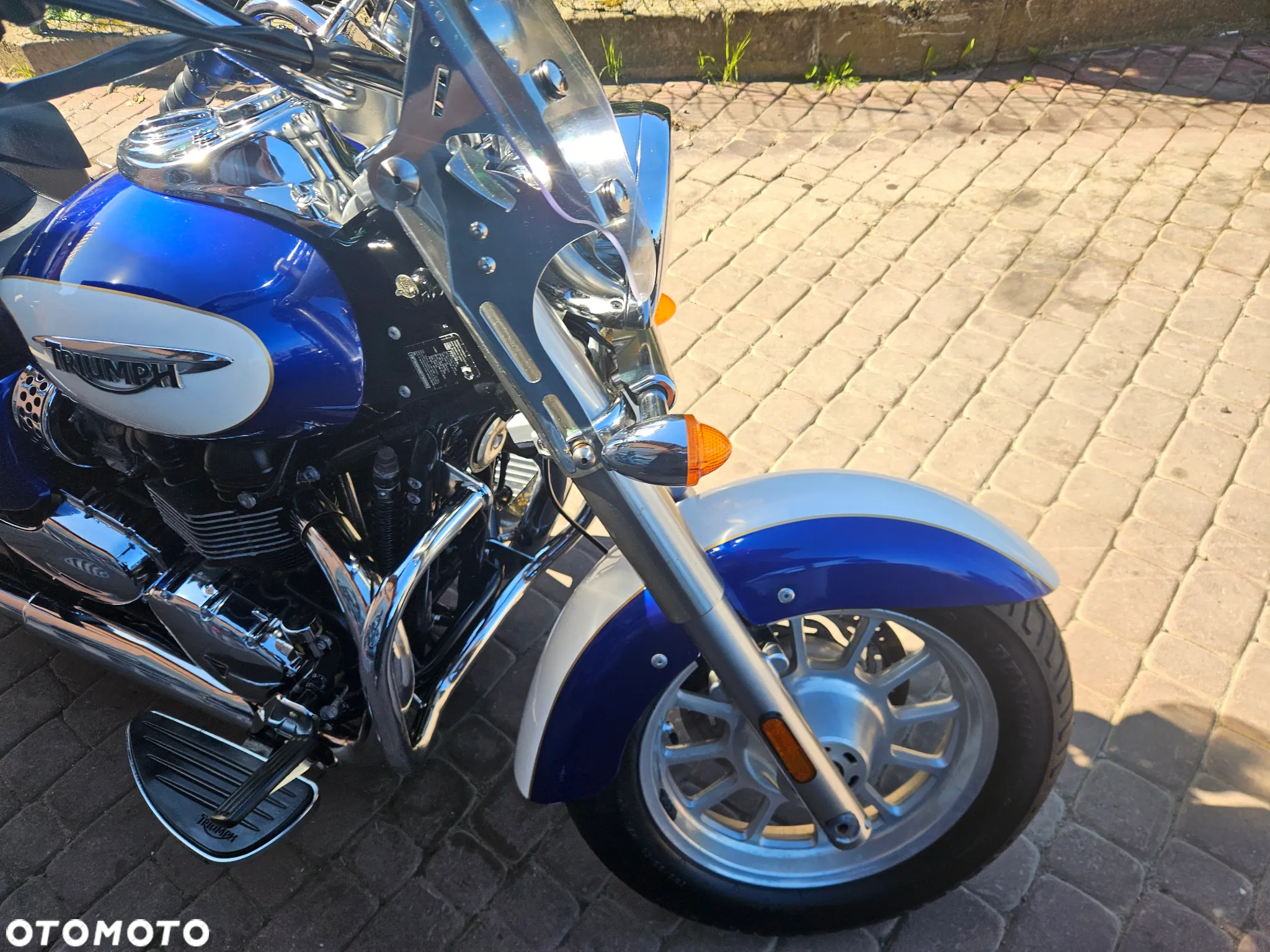 Triumph Speedmaster - 10