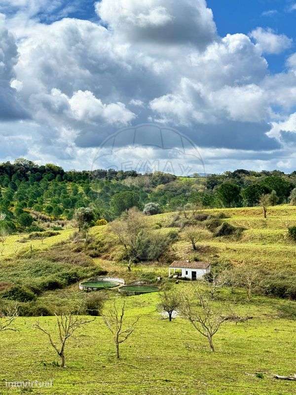 Terreno  para venda - Grande imagem: 2/14