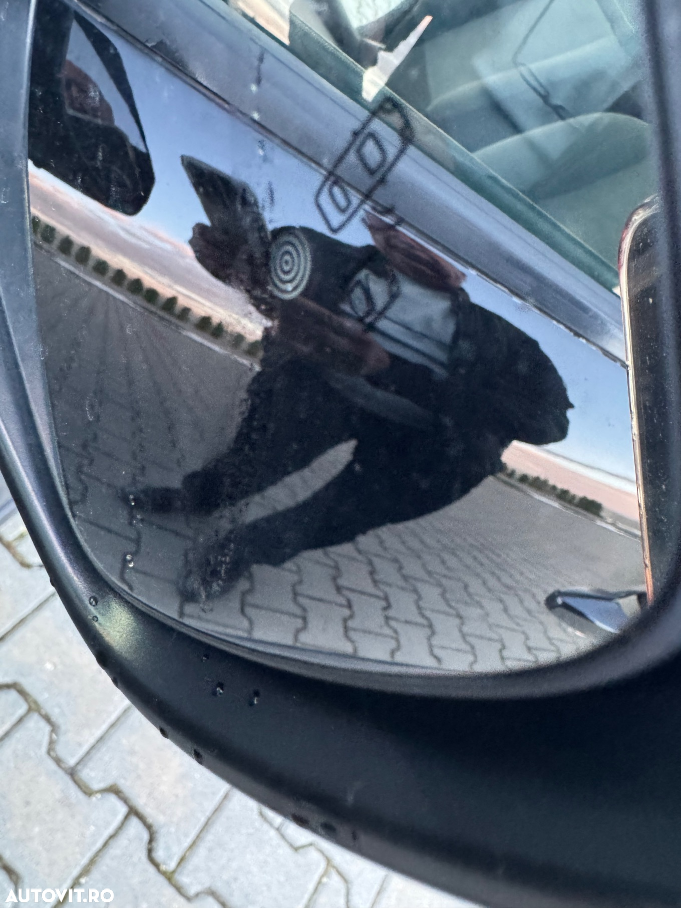 Citroën C3 PureTech 130 Stop & Start EAT6 OPF MAX - 12