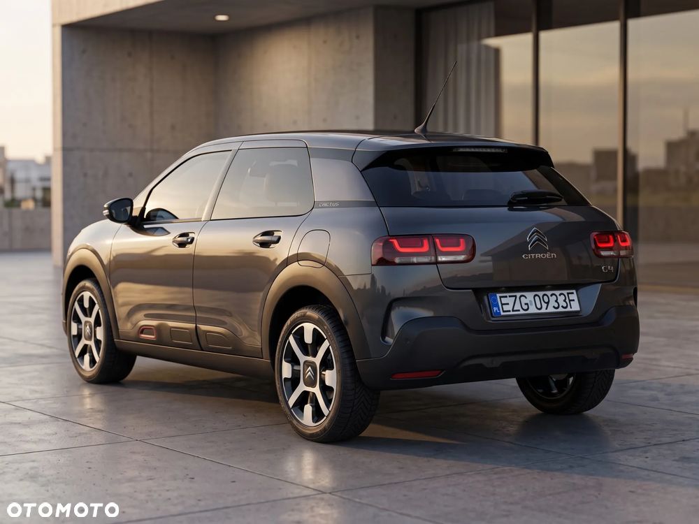 Citroën C4 Cactus PureTech 110 Stop&Start Shine - 16
