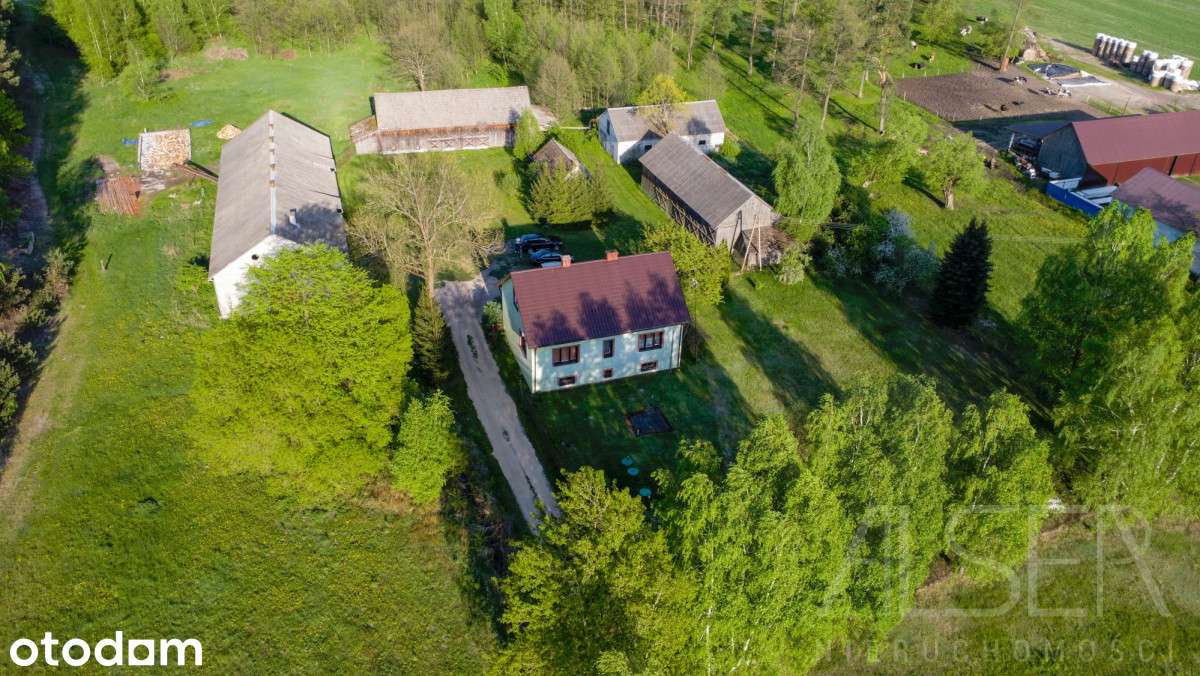 Siedlisko 4,83 Ha, Dom wolnostojący i 5 bud. Gosp. - Pełny obrazek: 2/20