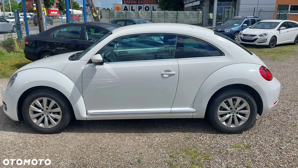 Volkswagen Beetle - 11