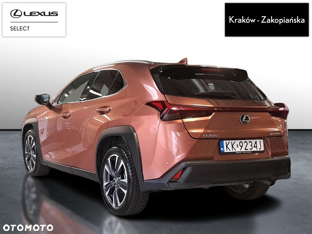 Lexus UX 300h Business - 4