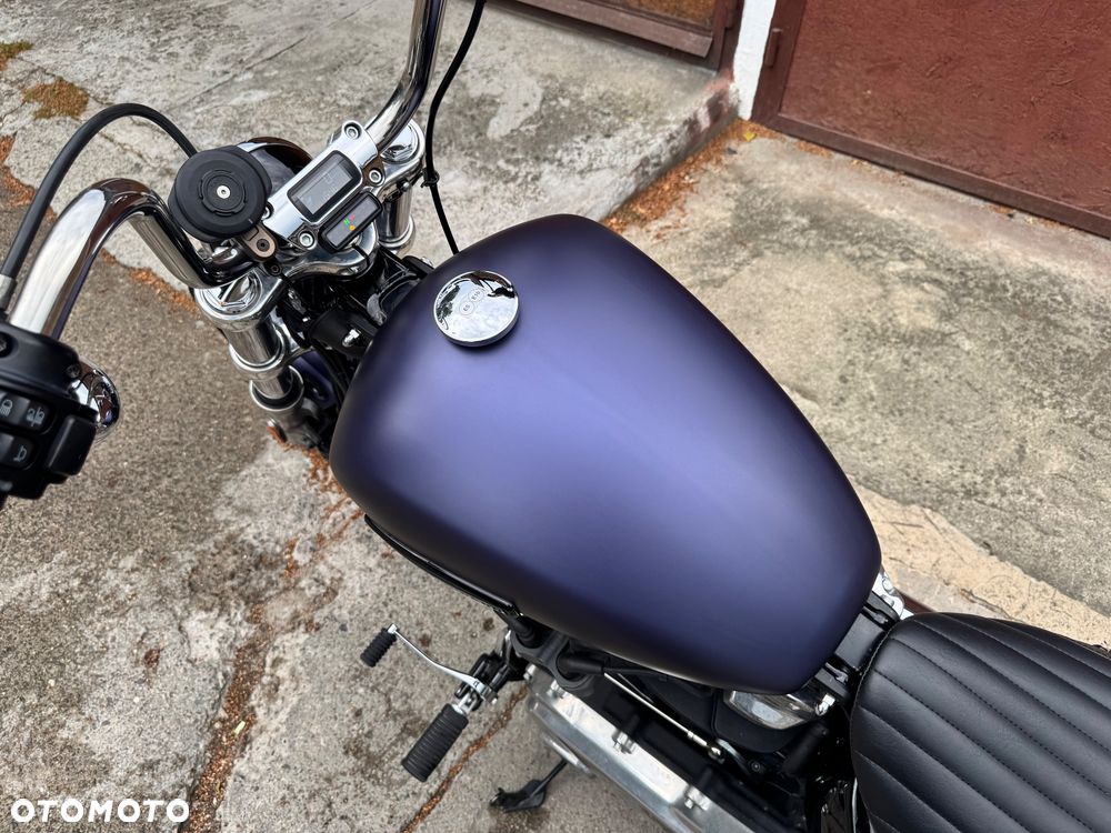 Harley-Davidson Softail Standard - 8