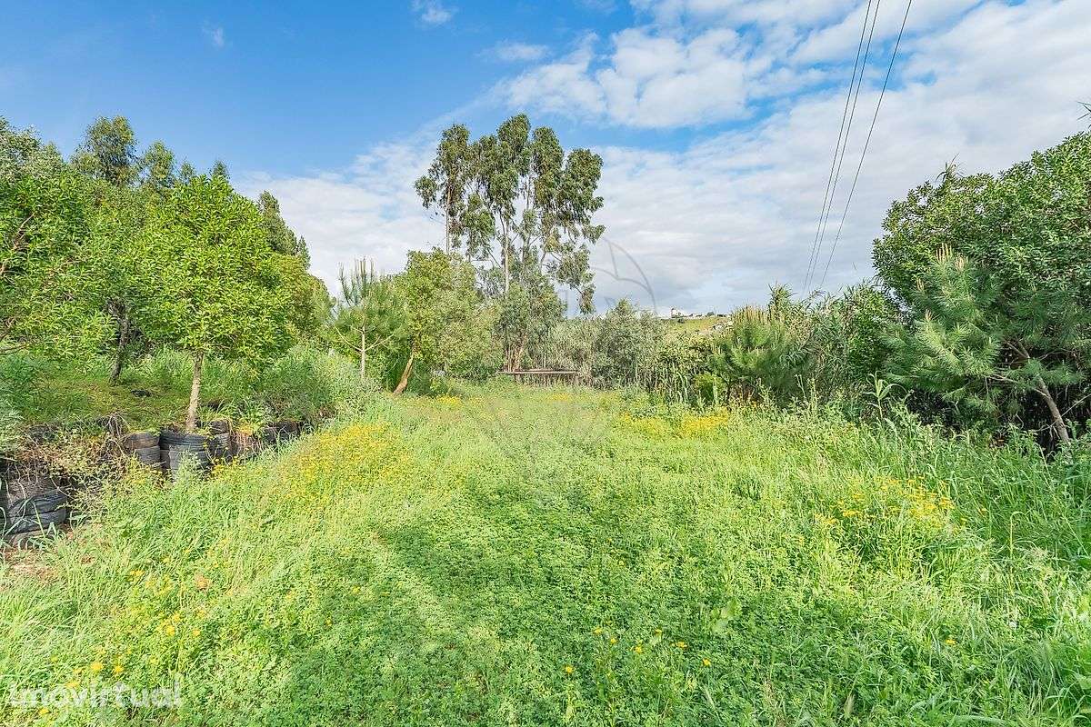 Terreno  para venda - Grande imagem: 4/6