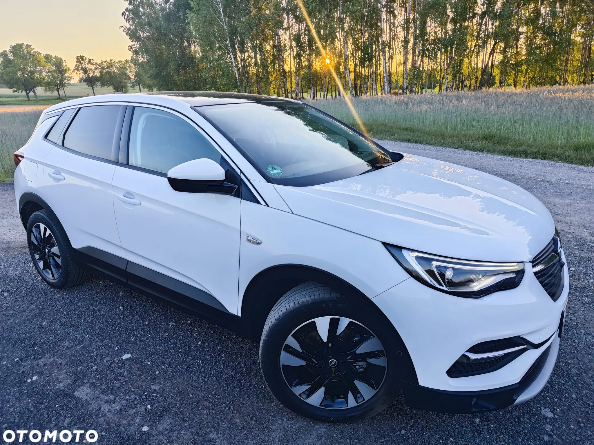 Opel Grandland X 2.0 D Start/Stop Automatik Business INNOVATION - 6