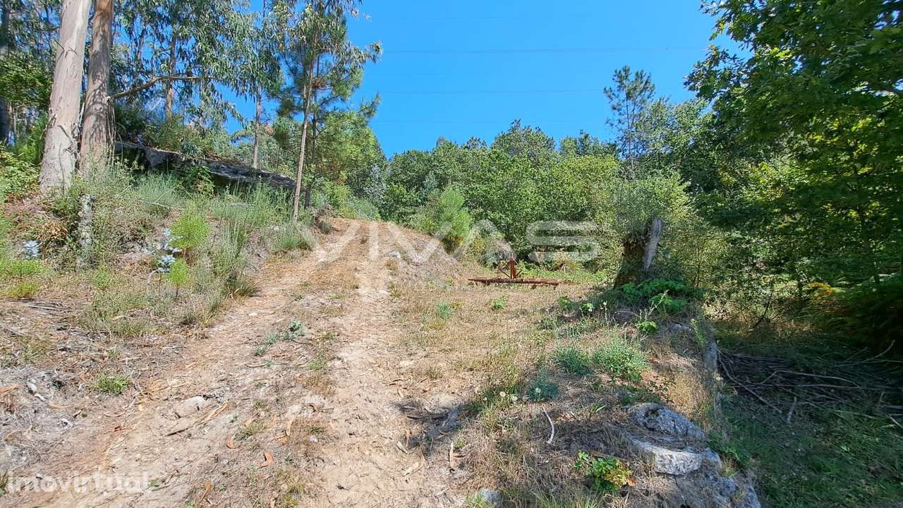 Terreno  Venda em Caldelas, Sequeiros e Paranhos,Amares - Grande imagem: 3/20
