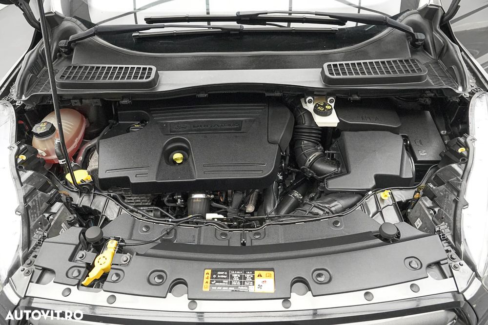 Ford Kuga 2.0 TDCi 4WD Powershift ST-Line - 28