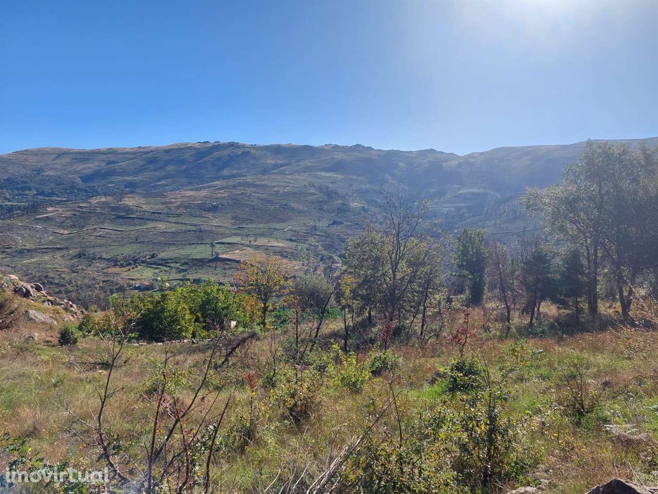 Terreno Rústico  Venda em Figueiró da Serra e Freixo da Serra,Gouveia - Grande imagem: 4/5