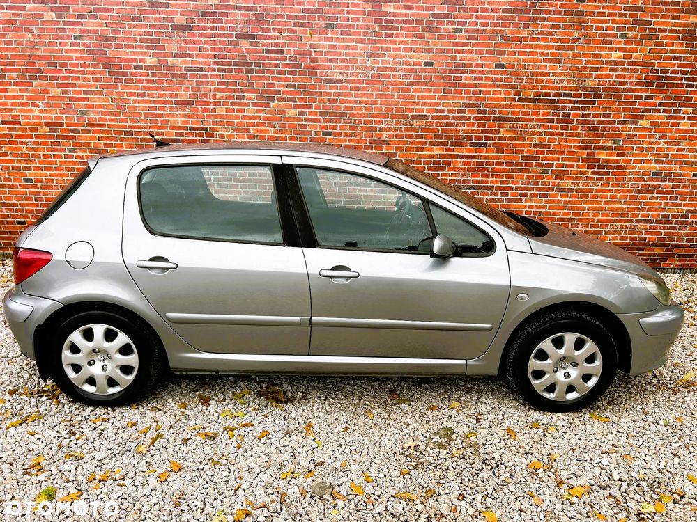 Peugeot 307 - 33
