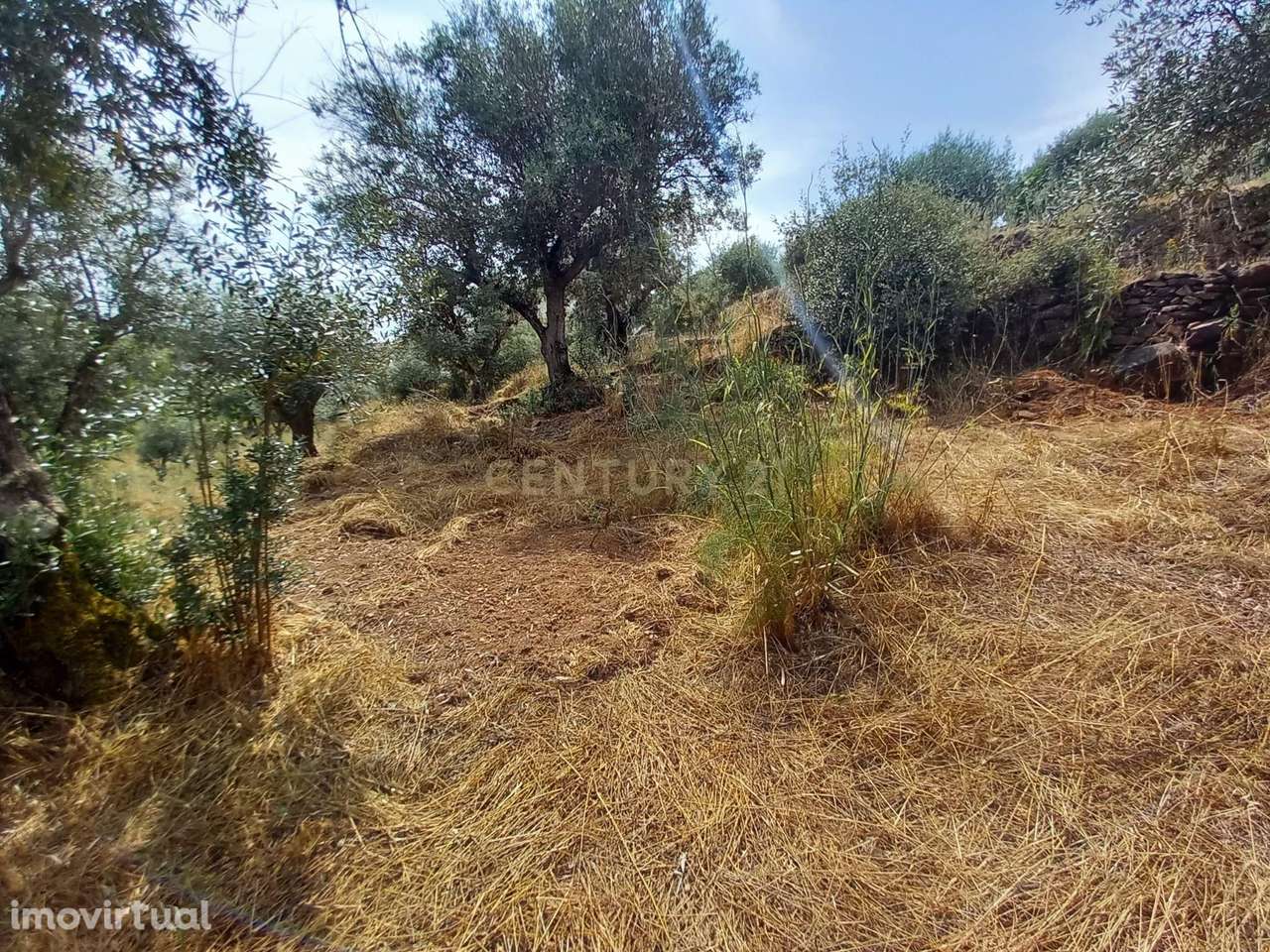 Terreno Rústico 520m2 Palvarinho - Grande imagem: 2/9