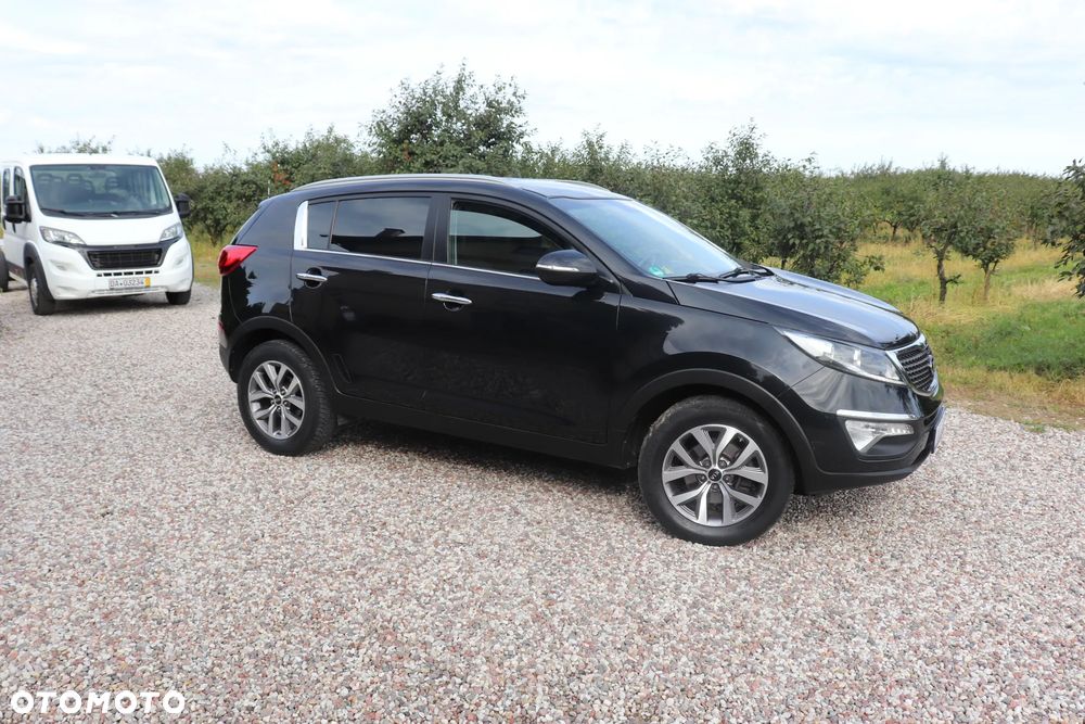 Kia Sportage 1.6 GDI Business Line L 2WD - 15