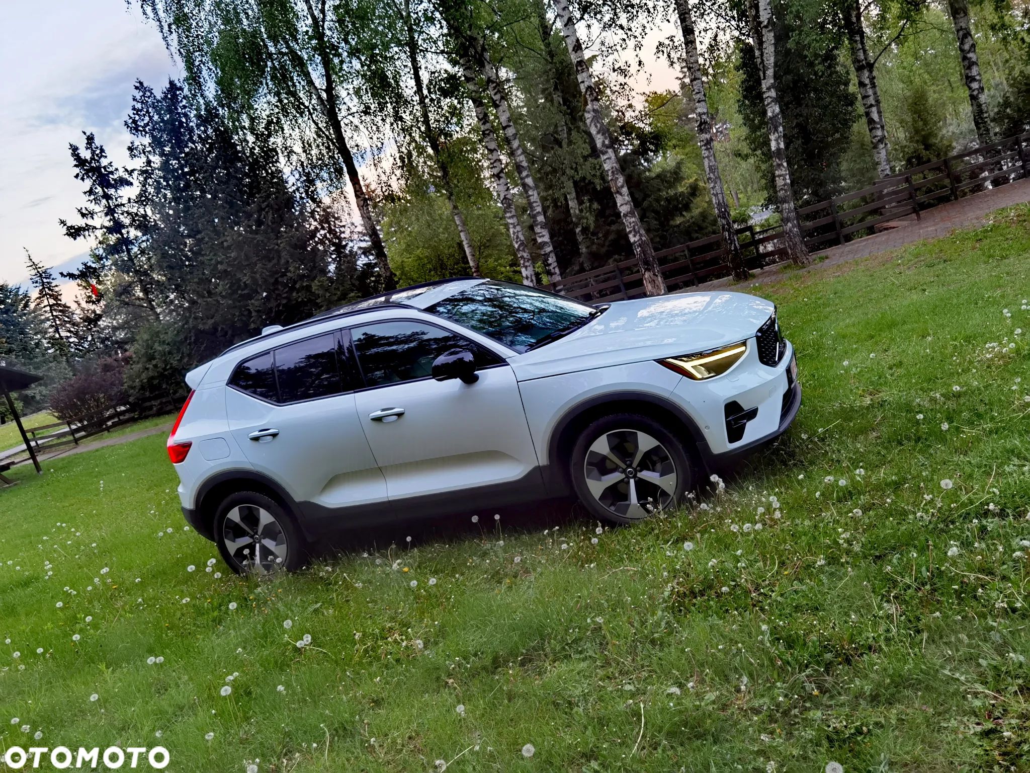 Volvo XC 40 - 1