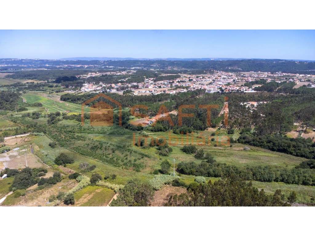 Quintinha a 10 Minutos de São Martinho do Porto e Foz do Arelho - Grande imagem: 3/10