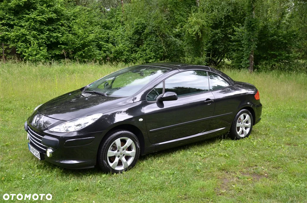Peugeot 307 CC 140 Tendance - 6