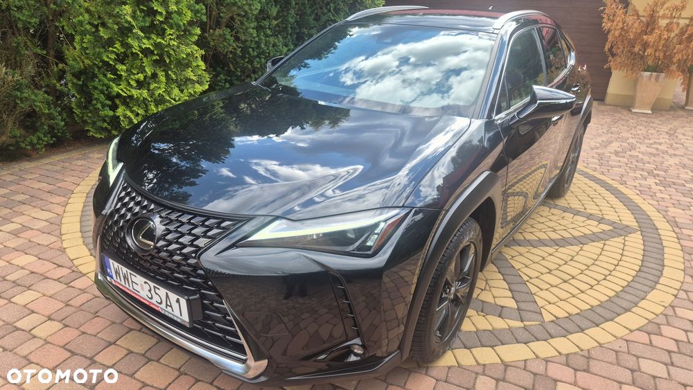 Lexus UX 250h Business Edition - 1